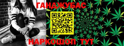 гидропоника Славгород