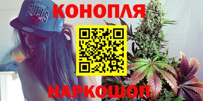 гидропоника Славгород