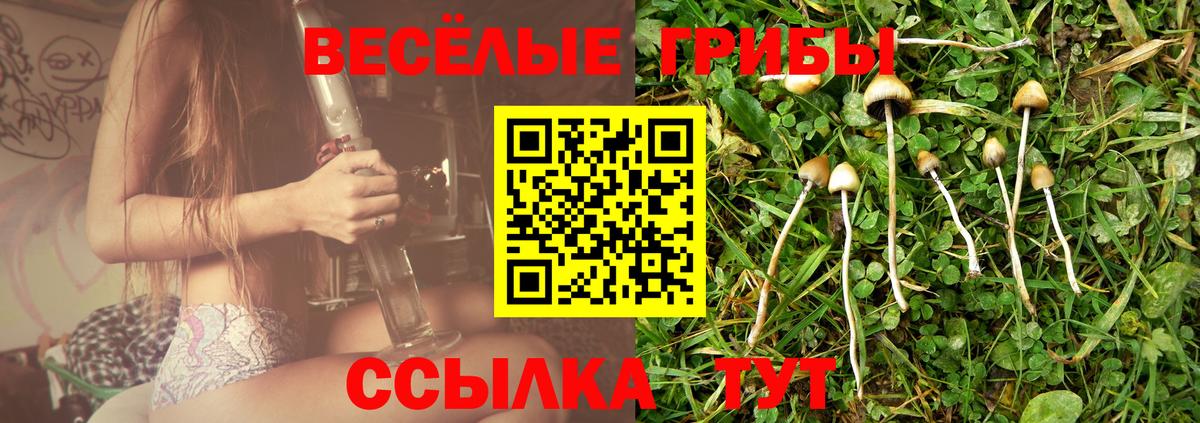 Азнакаево  Галлюциногенные грибы MAGIC MUSHROOMS  Вход с VPN 