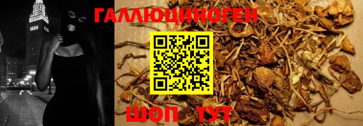 Псилоцибиновые грибы Magic Shrooms Азнакаево